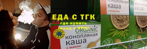 индика Киреевск
