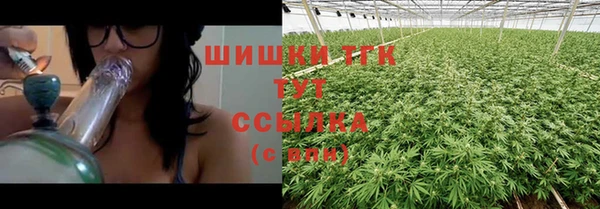 гидра Алексеевка