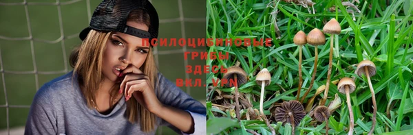 гидра Алексеевка