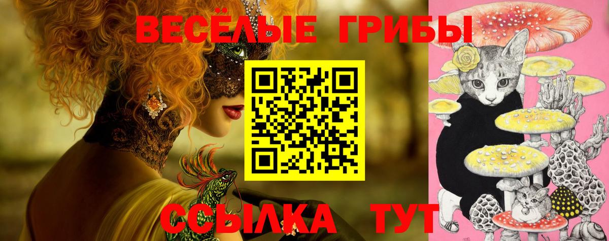 Псилоцибиновые грибы GOLDEN TEACHER Богородск